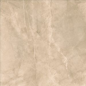 Perlino-Camel-F1 -1-